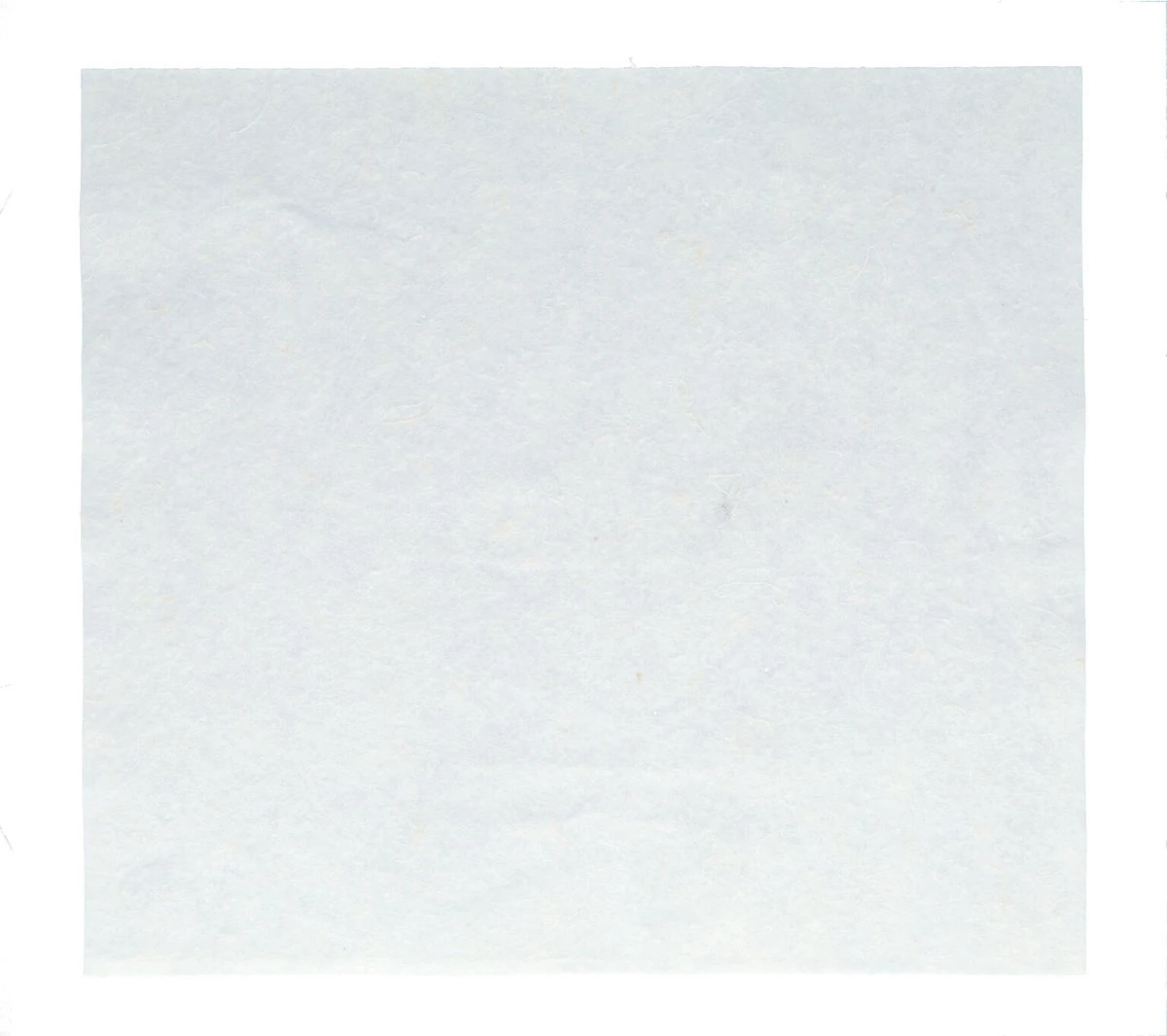 Protecton Poetsdoeken 10 Stuks 135gr - Afbeelding 7