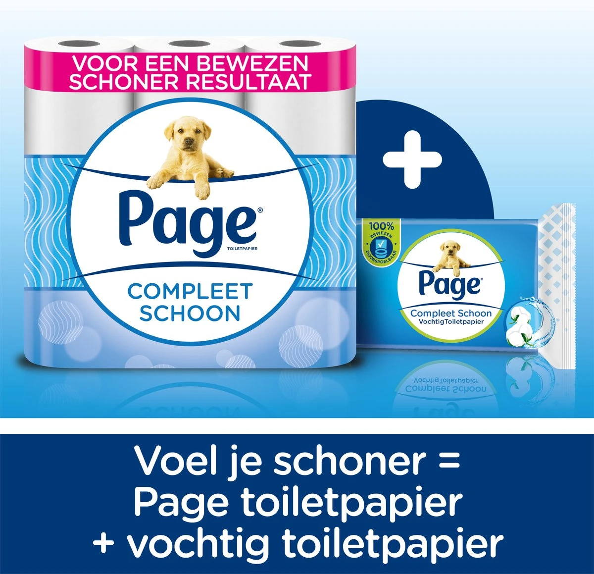 Page Vochtig Toiletpapier - 12 X 38 Stuks - Compleet Schoon Vochtig Wc Papier - Voordeelverpakking - Afbeelding 5