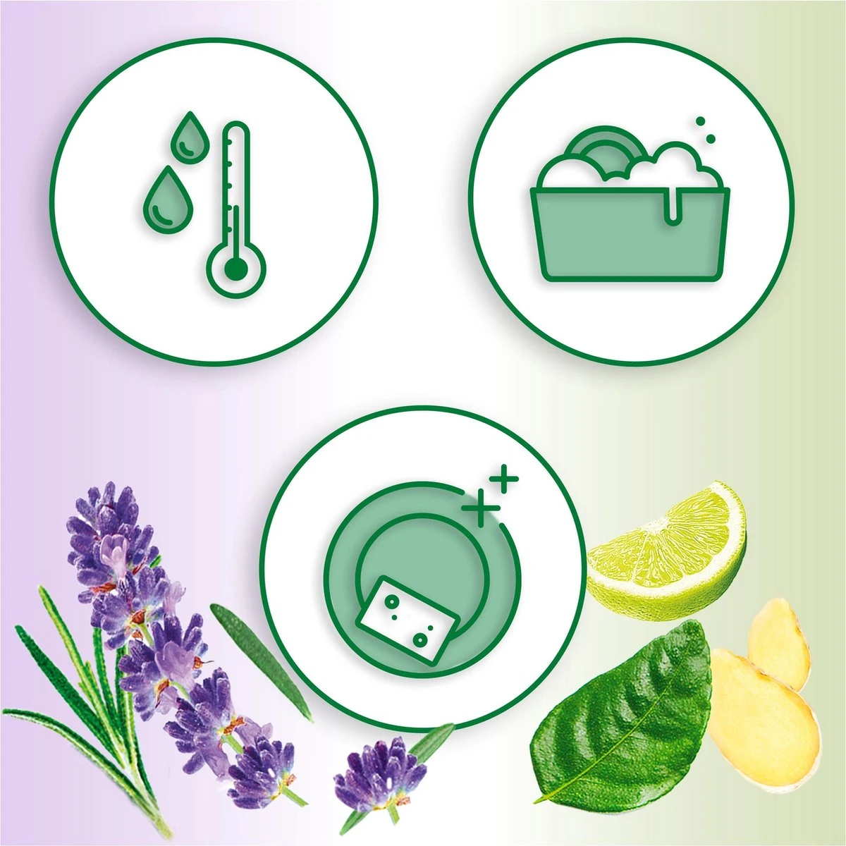 Dreft Naturals Lavender & Rosemary Afwasmiddel - Voordeelverpakking 10x450ml - Afbeelding 3