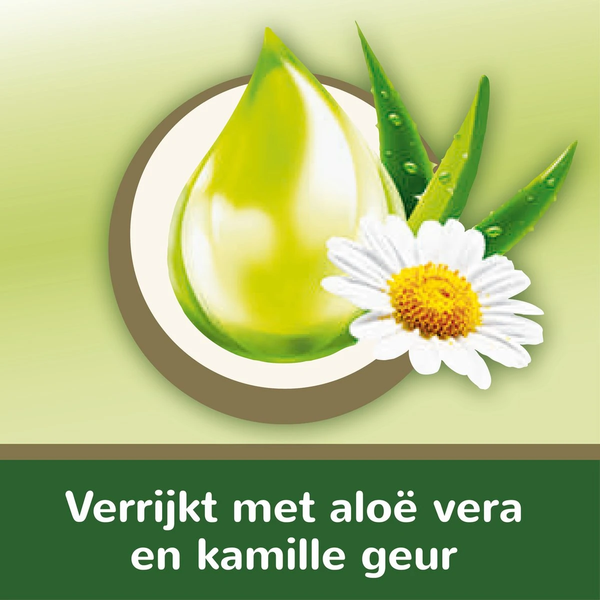 Page Vochtig Toiletpapier - 6 X 74 Stuks - Aloë Vera Maxi Vochtig Wc Papier - Voordeelverpakking - Afbeelding 10