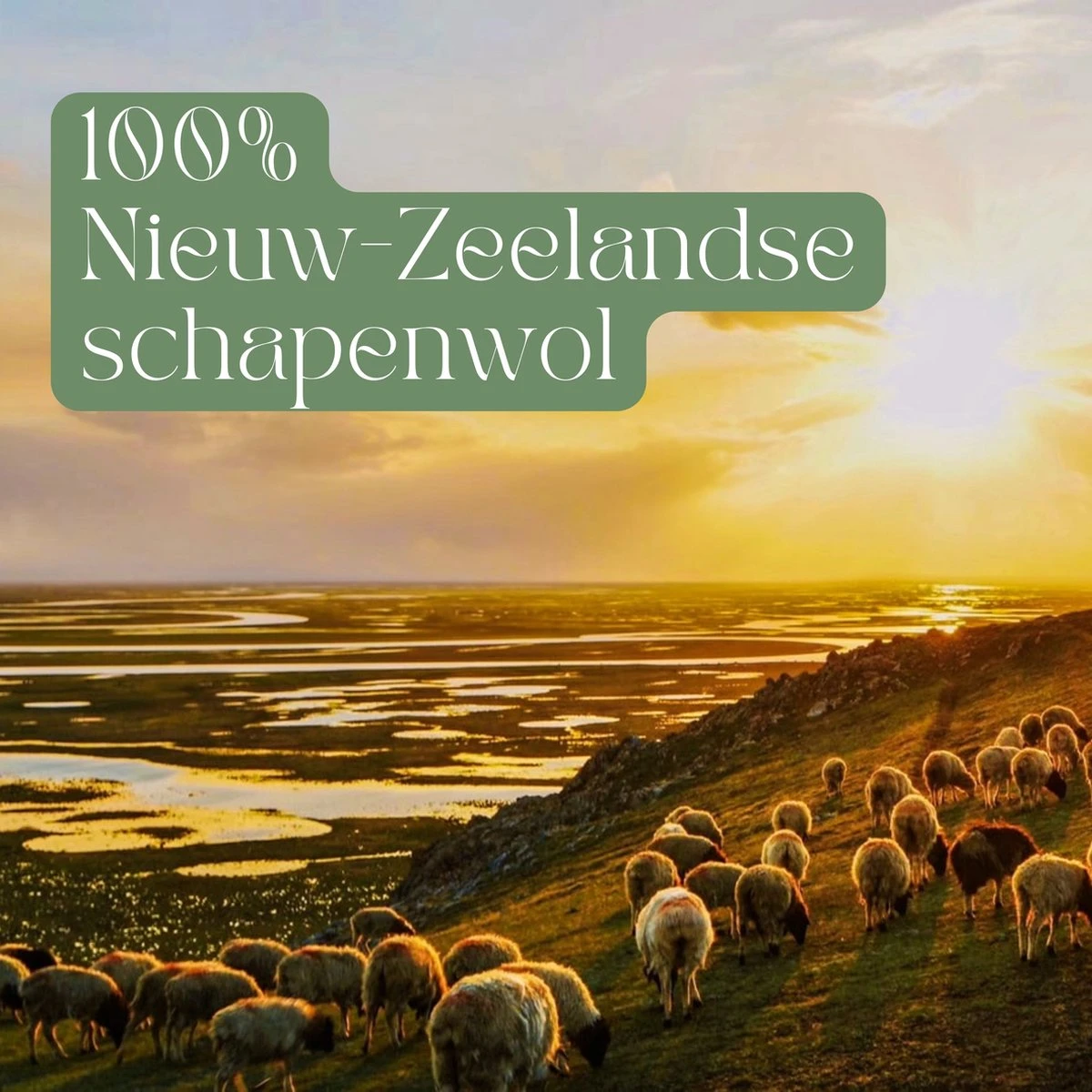 Miki's Goods® XL Wollen Drogerballen 6 Stuks - Panda Wasballen - Duurzaam - Wasbol - 100% Nieuw-Zeelandse Schapenwol - Wasbollen - Herbruikbaar- Droogballen - Snellere Droogtijd - Zuigt Dierenharen Op - Afbeelding 6