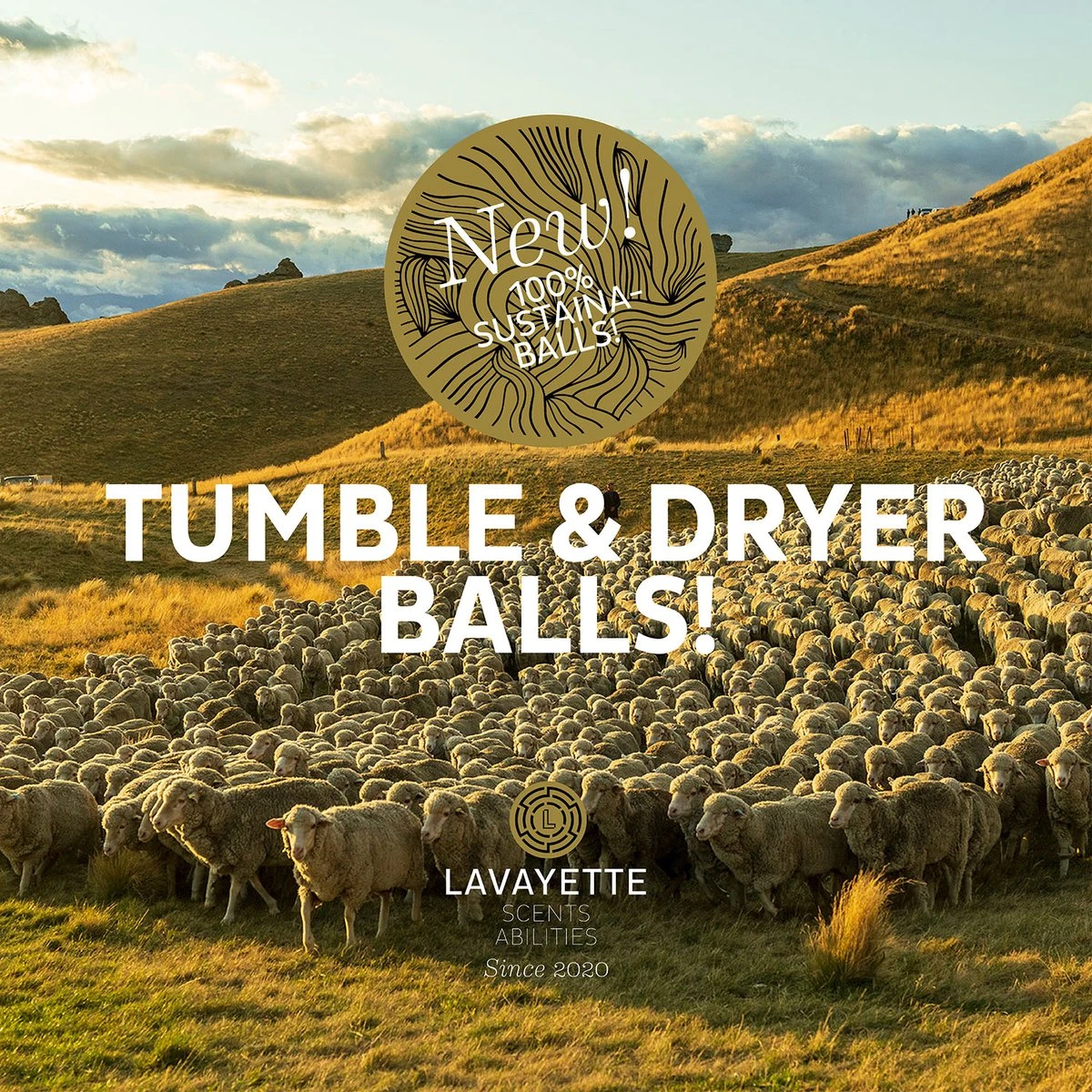 Lavayette XL Drogerballen Met 25ml Wasparfum - WasdrogerBallen – Droogballen – Wasbol – 100% Nieuw-Zeelands Schapenwol – Milieu- En Diervriendelijk – 6 Stuks - Afbeelding 5