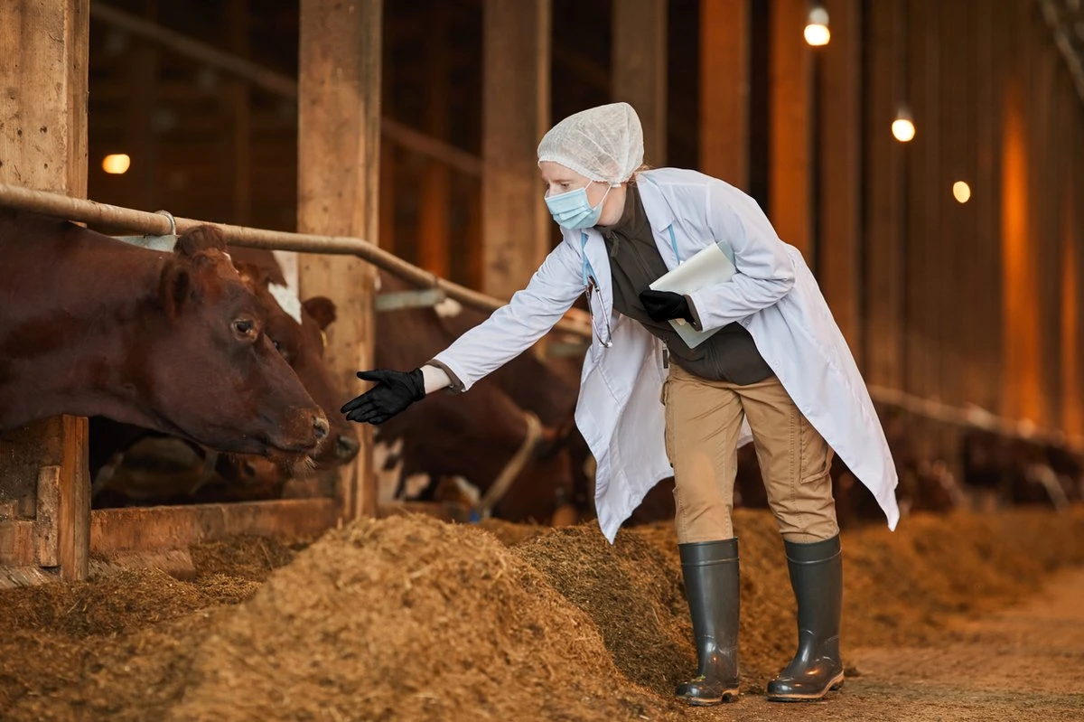 ANSELL MICROFLEX® 93-732 - Nitril Wegwerp Handschoenen, Latexvrij, Poedervrij, S, Zwart, 100 Stuks (0.7-0.11mm) - Afbeelding 4