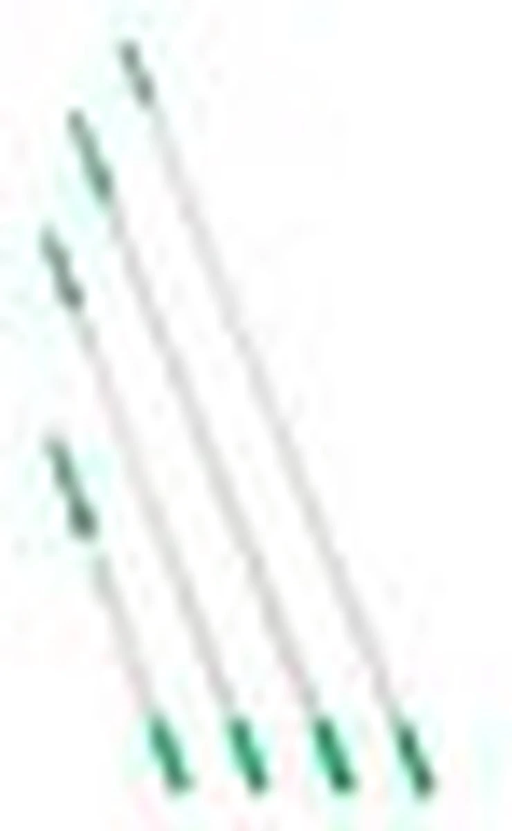 OptiLoc 2-delig 250m - Afbeelding 4